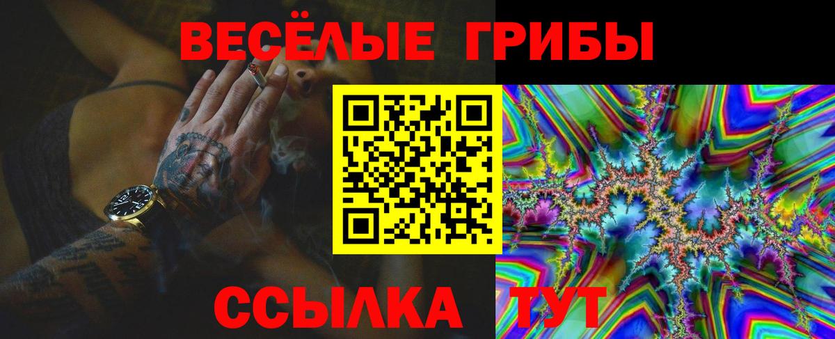 где купить наркотик  Вход с VPN  Анапа  Псилоцибиновые грибы Cubensis 